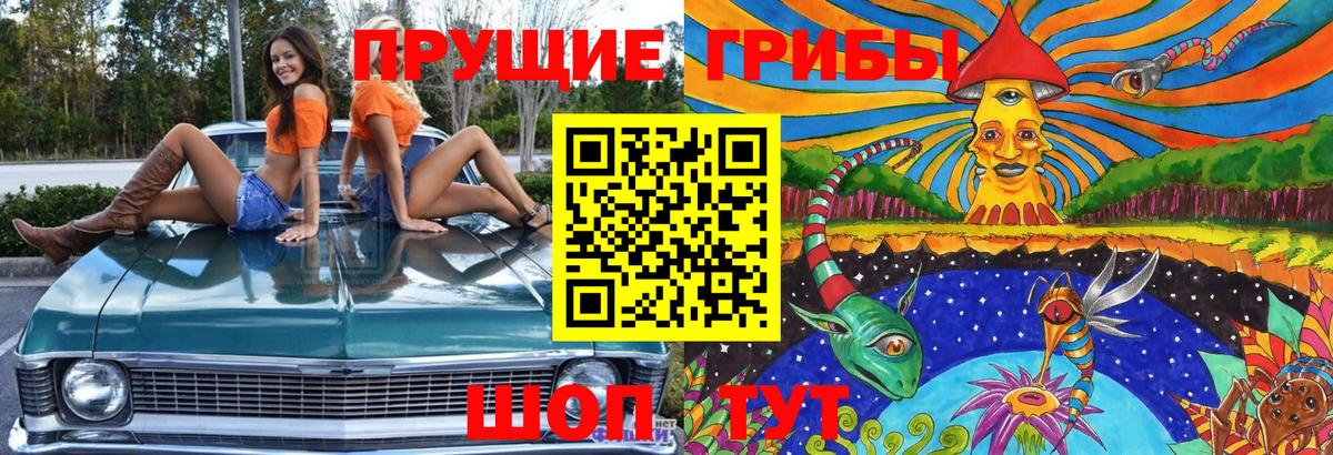 Псилоцибиновые грибы Psilocybe  Вход с VPN  Кизилюрт  Галлюциногенные грибы Magic Shrooms 