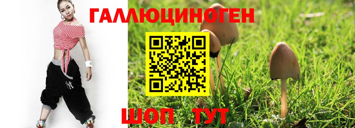 Галлюциногенные грибы GOLDEN TEACHER Кизилюрт